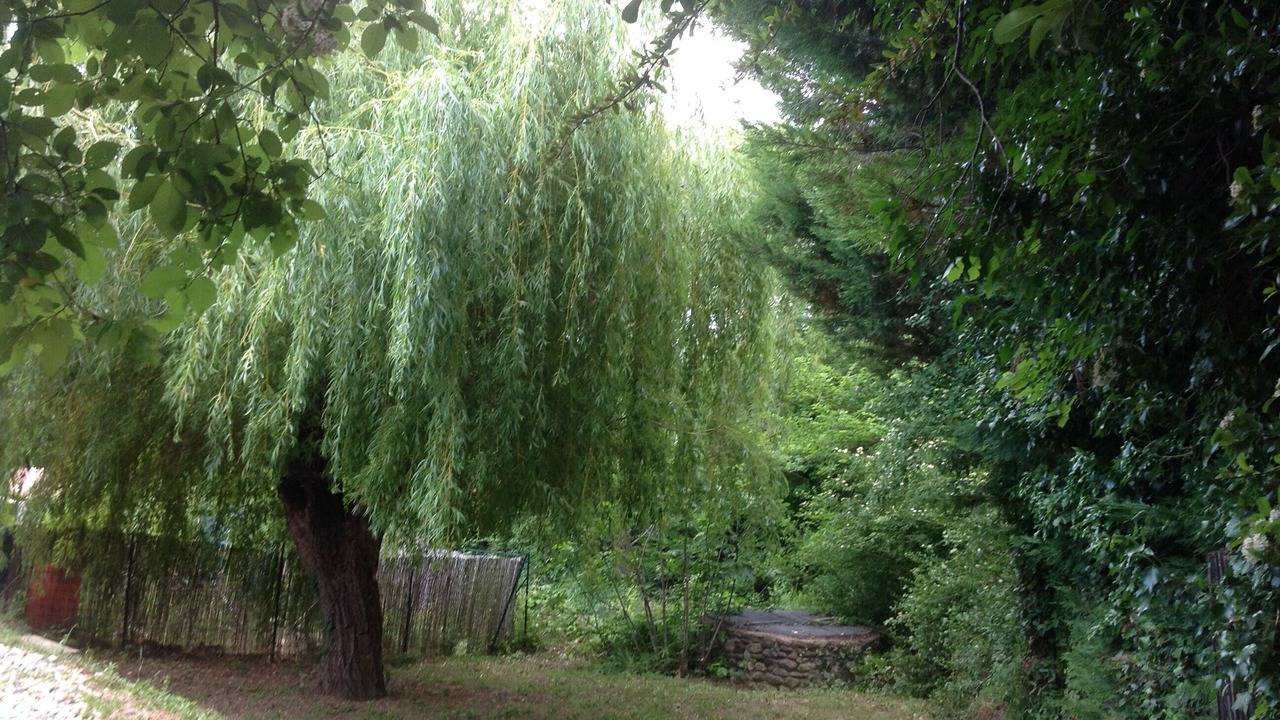 Photo of Outdoor in Alba-la-Romaine