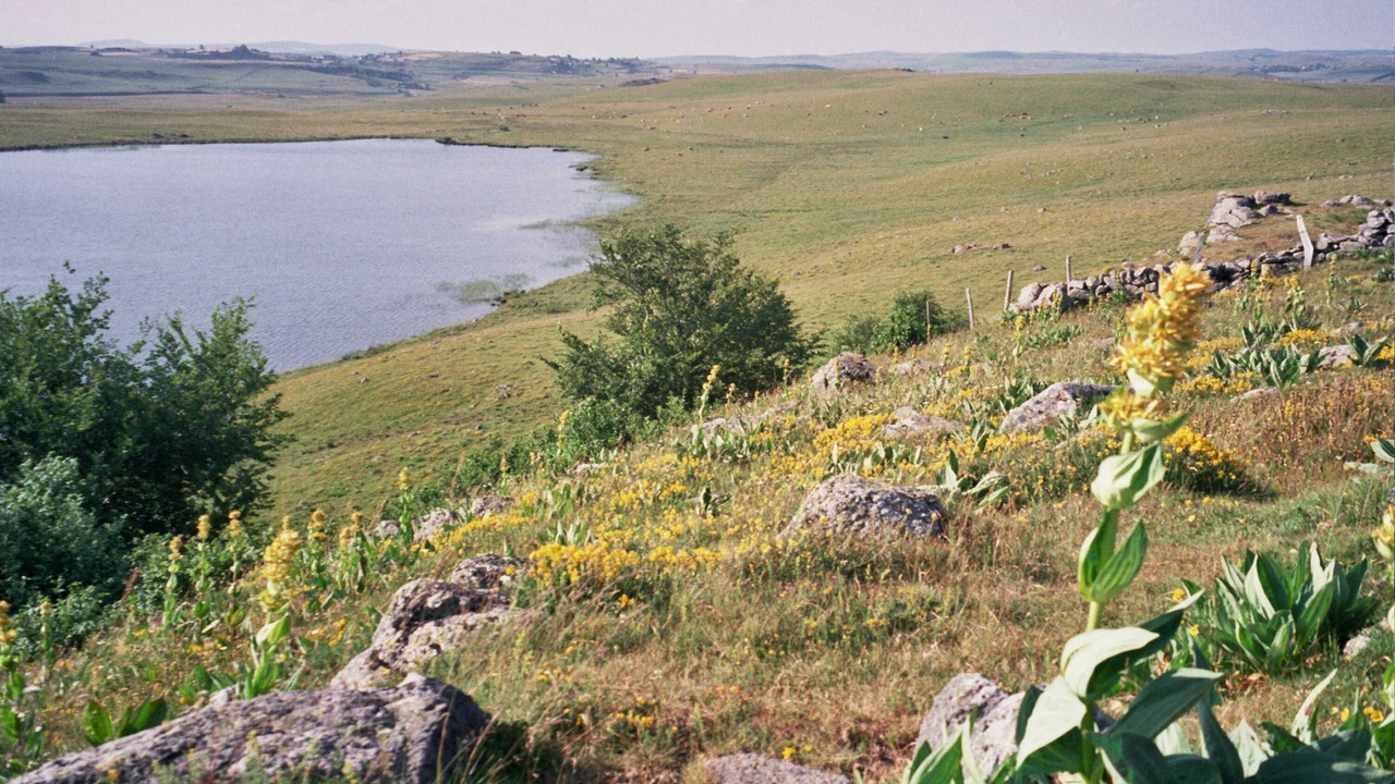 Photo of Others in Saint-Pierre-de-Nogaret