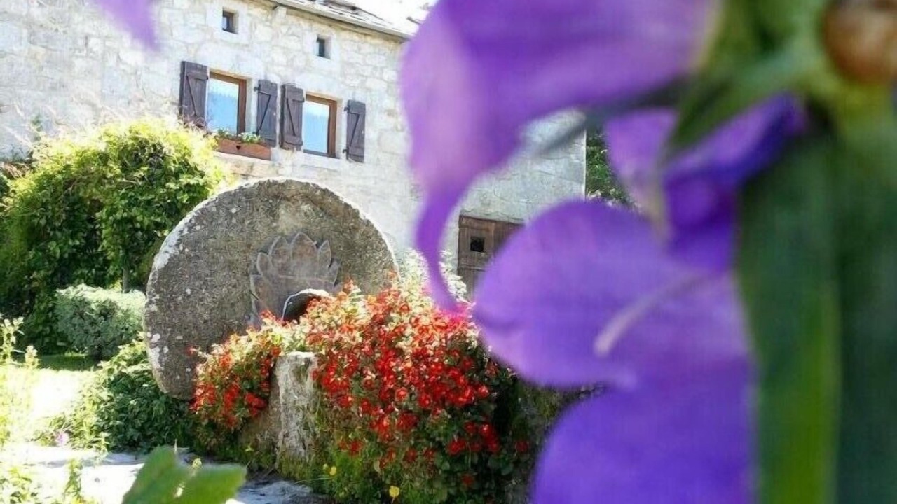 Photo of Outdoor in Lajo