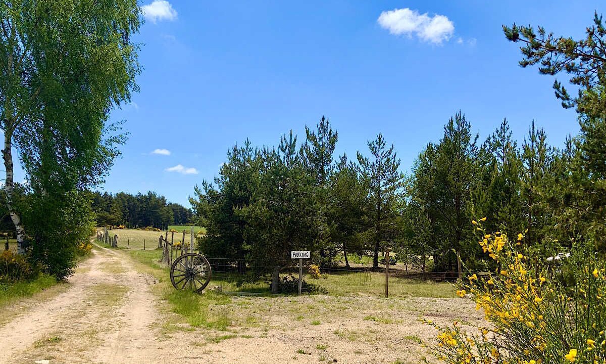 Photo of Others in Saint-Sauveur-de-Peyre