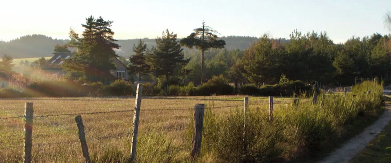 Photo of Others in Saint-Sauveur-de-Peyre