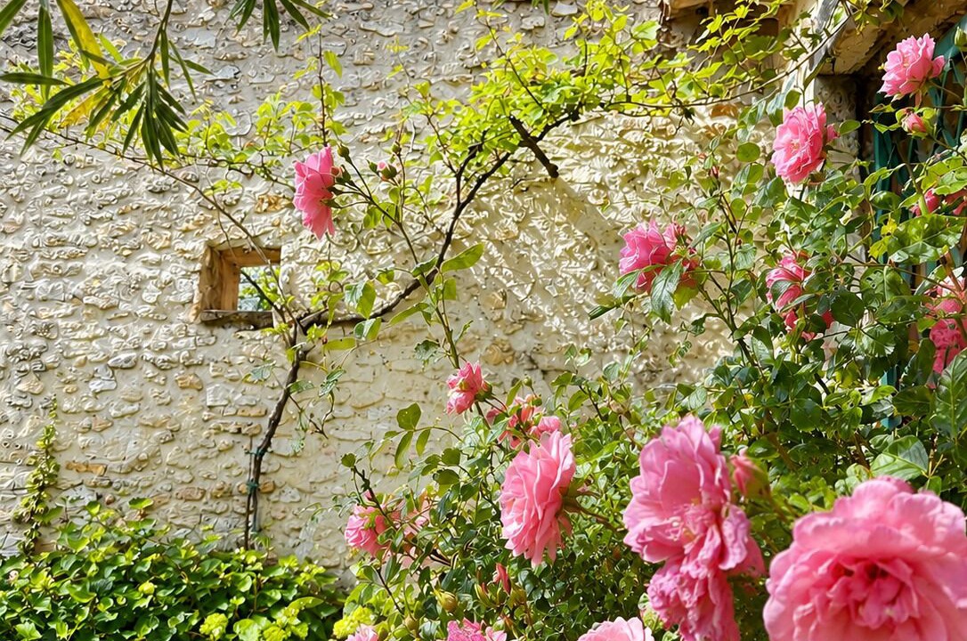 Photo of Outdoor in Saint-Montan
