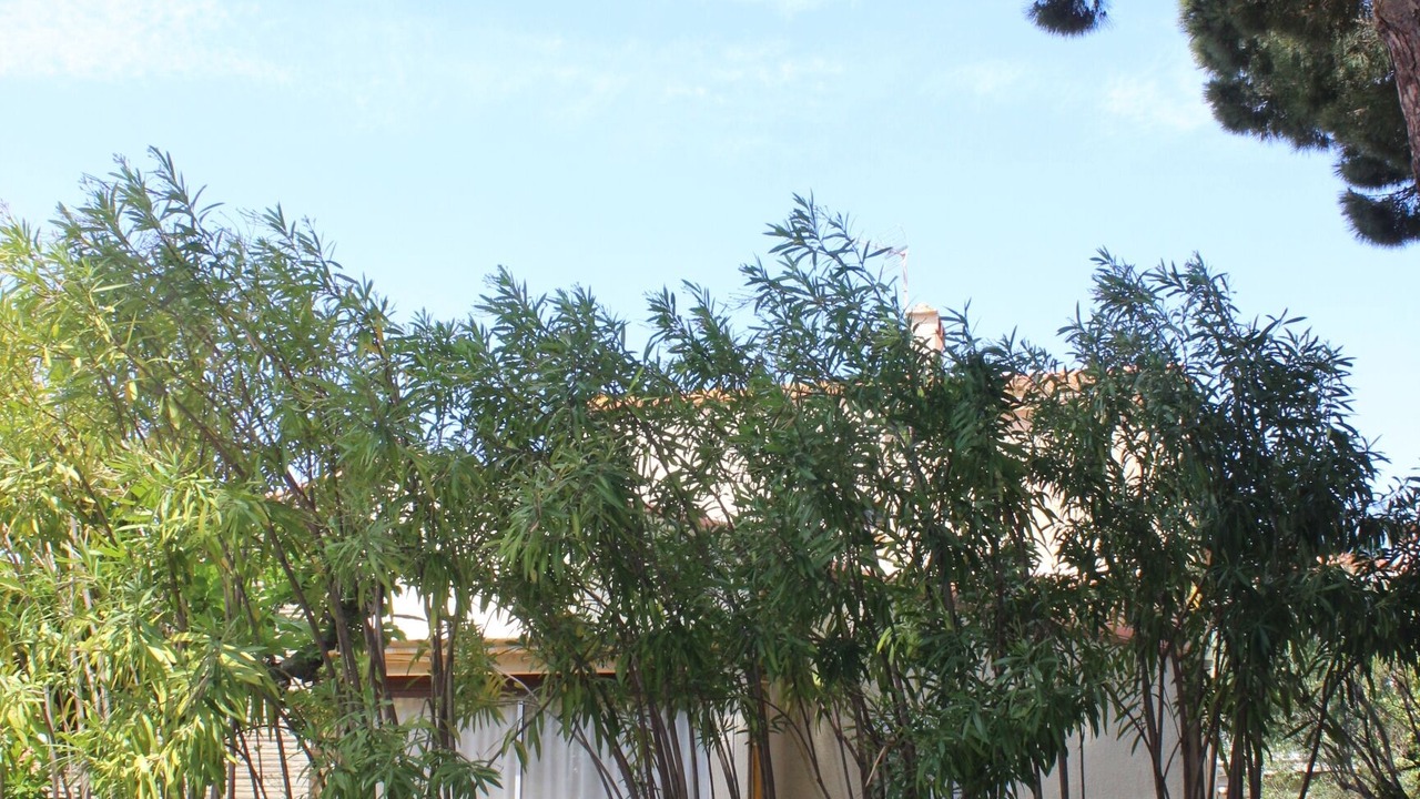 Photo of Outdoor in La Jetee