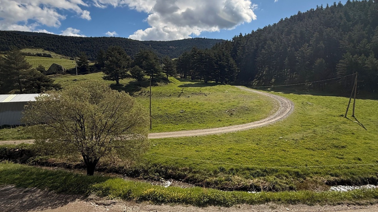 Photo of Outdoor in La Molina
