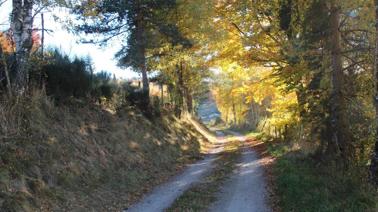Photo of Others in Le Buisson