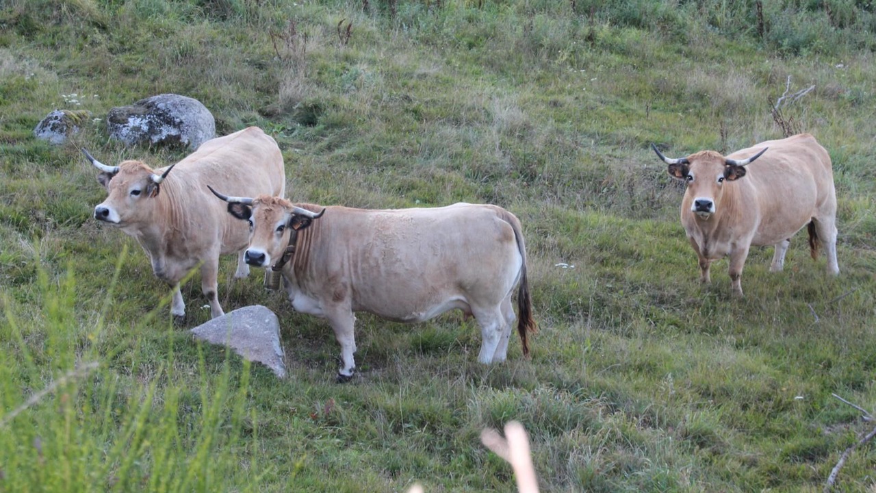 Photo of Others in Le Buisson