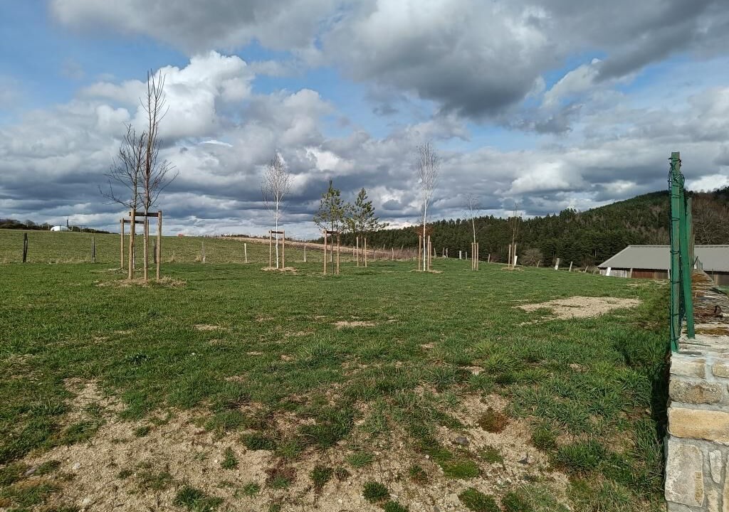Photo of Others in Aumont-Aubrac