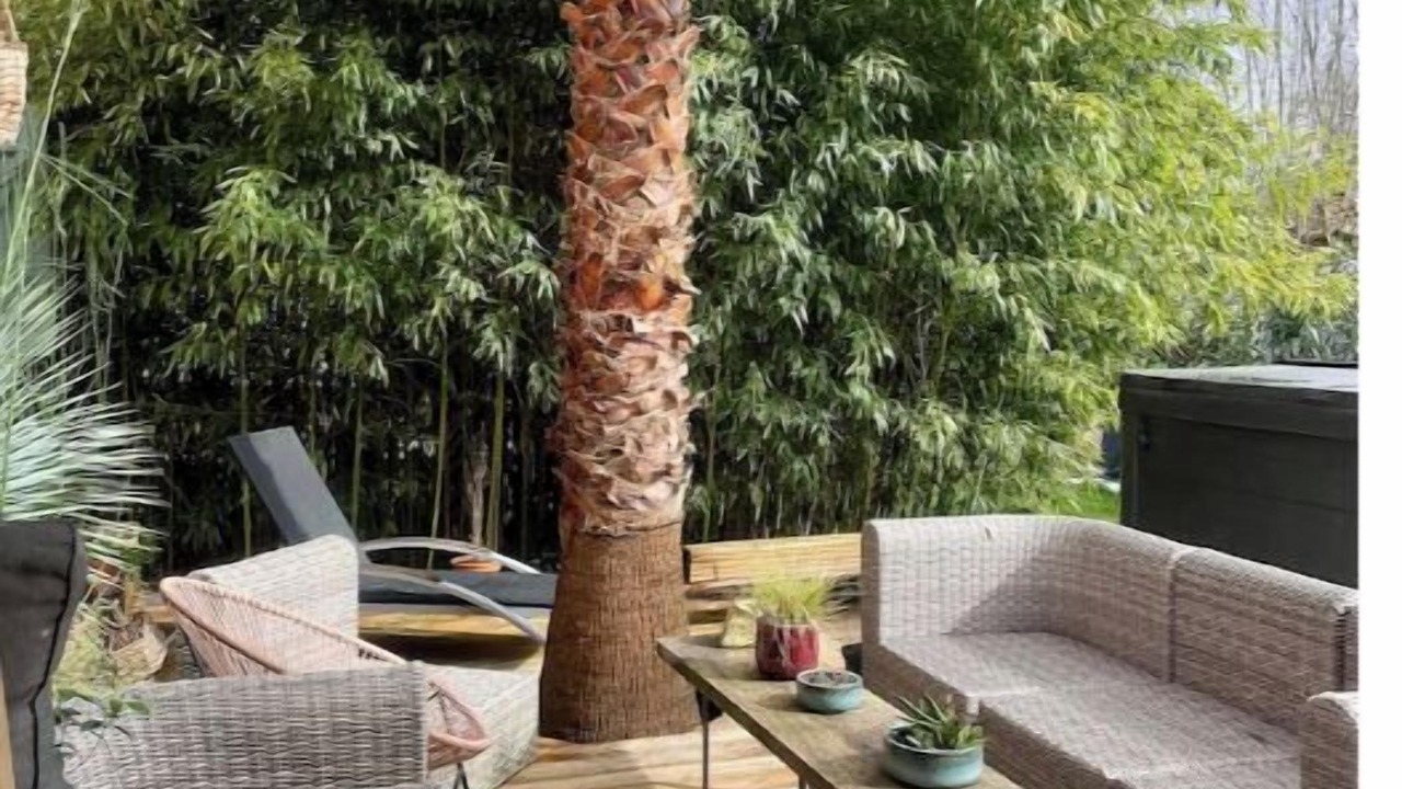Photo of Patio Balcony in Le Teich