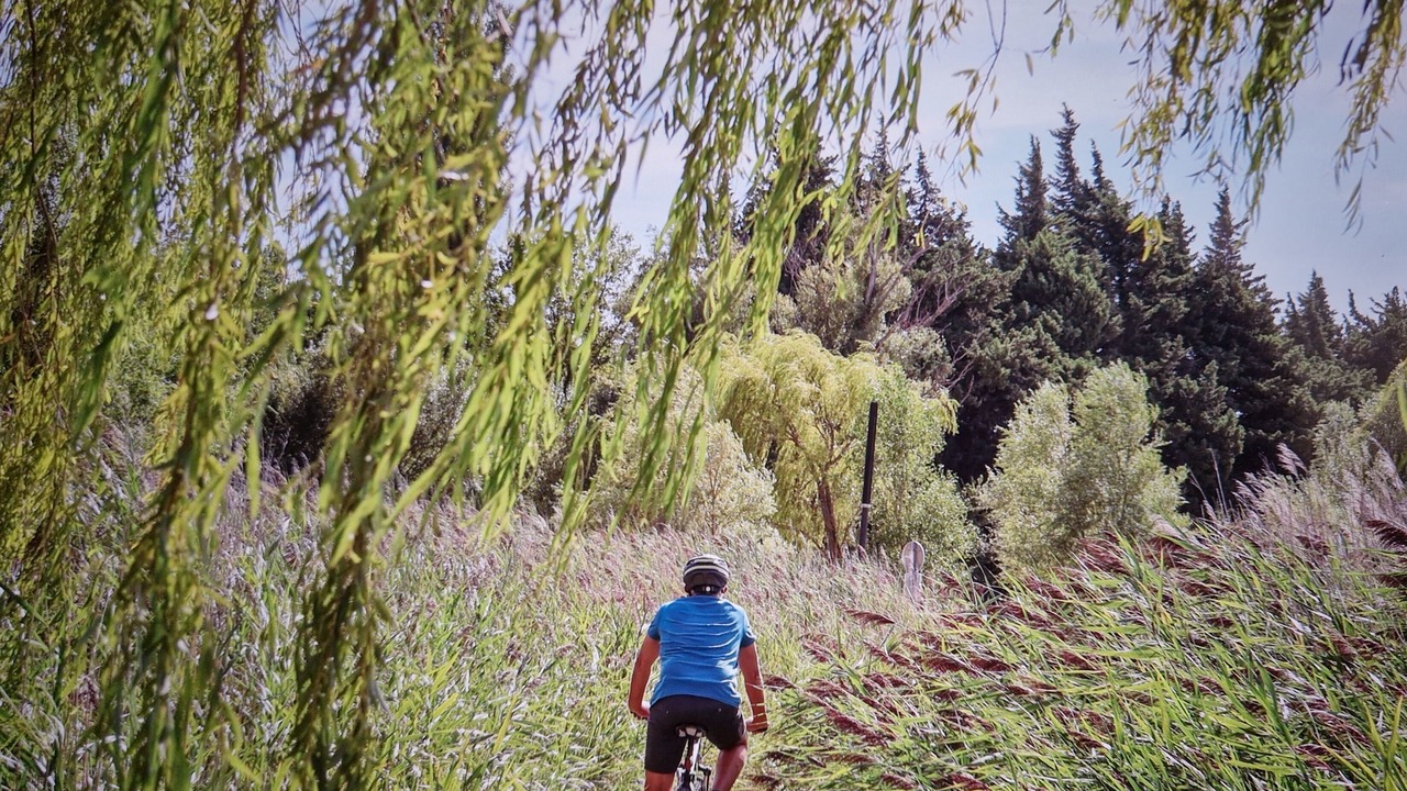 Photo of Others in Monteux