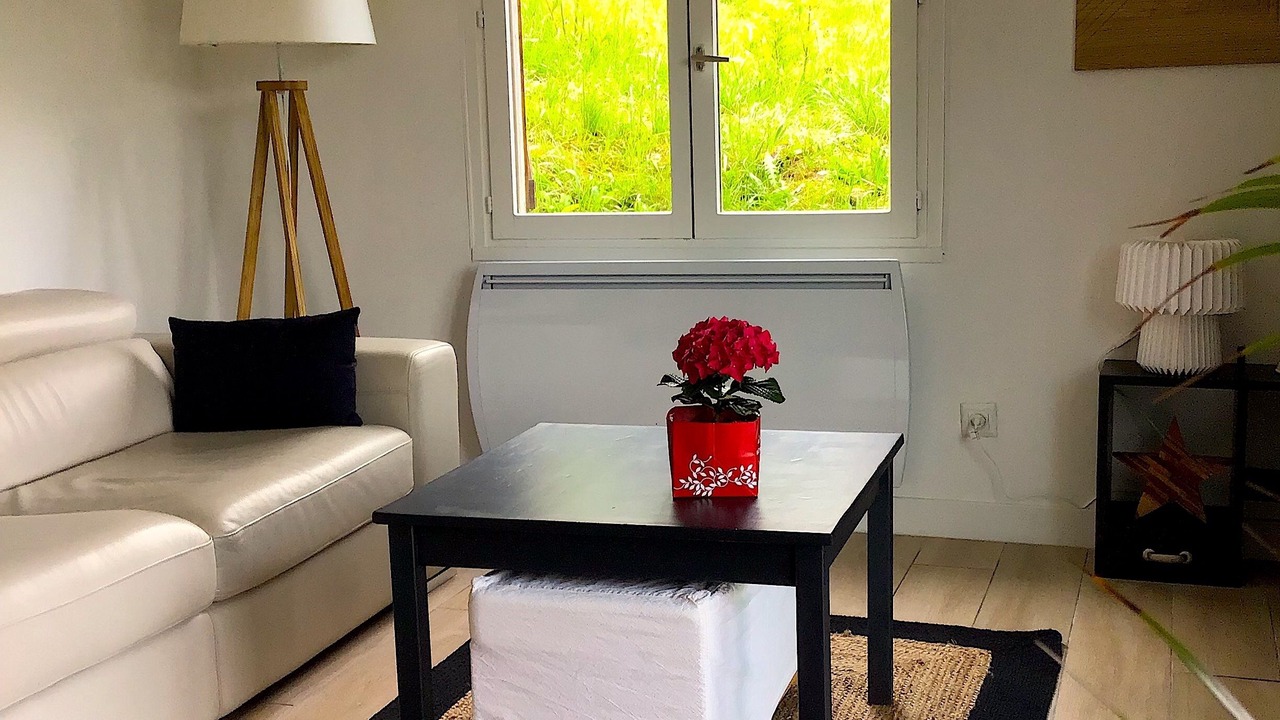 Photo of Livingroom in Sevrier