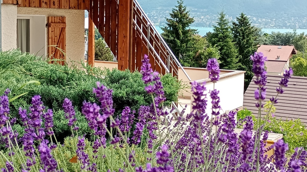 Photo of Outdoor in Sevrier