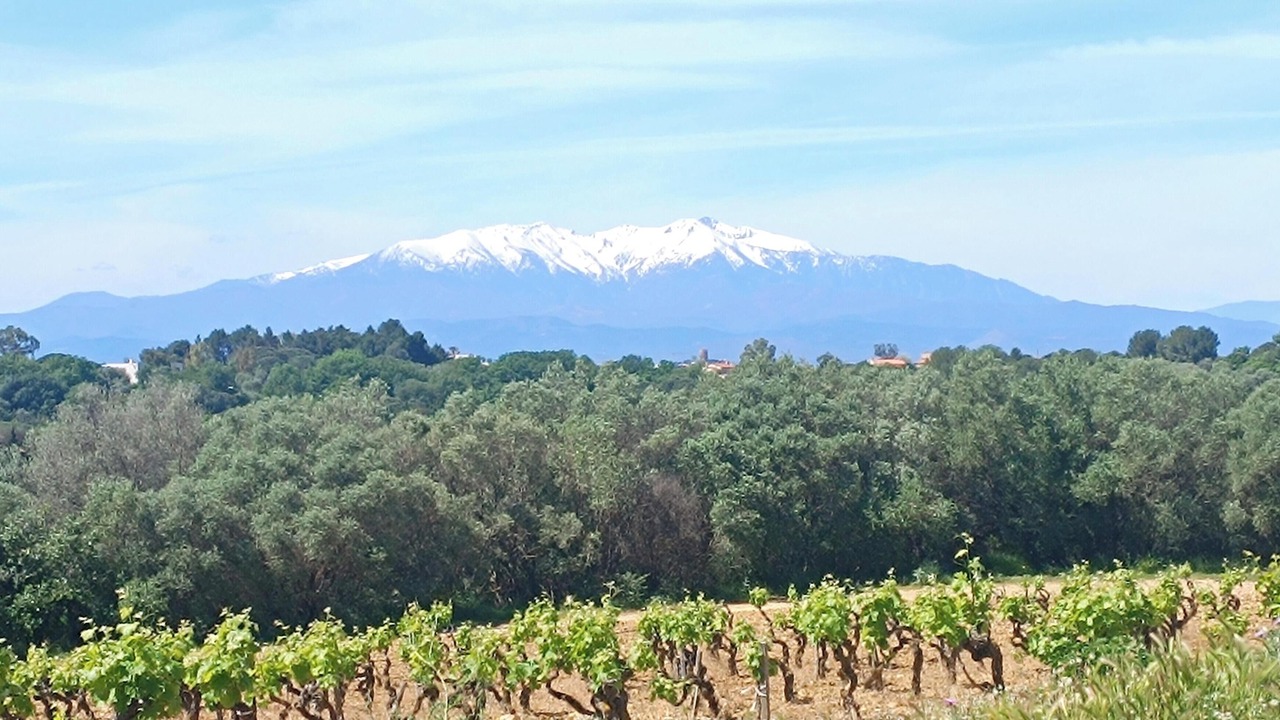 Photo of Others in Villelongue-de-la-Salanque