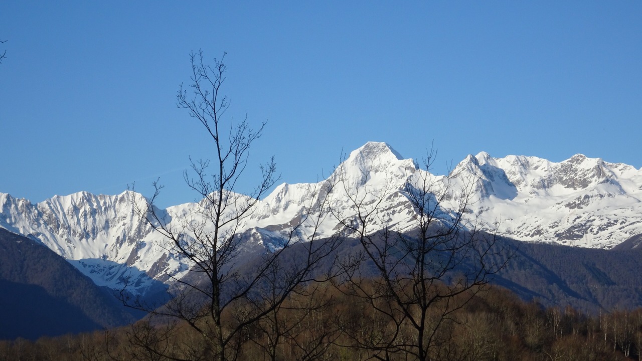 Photo of Others in Aleu