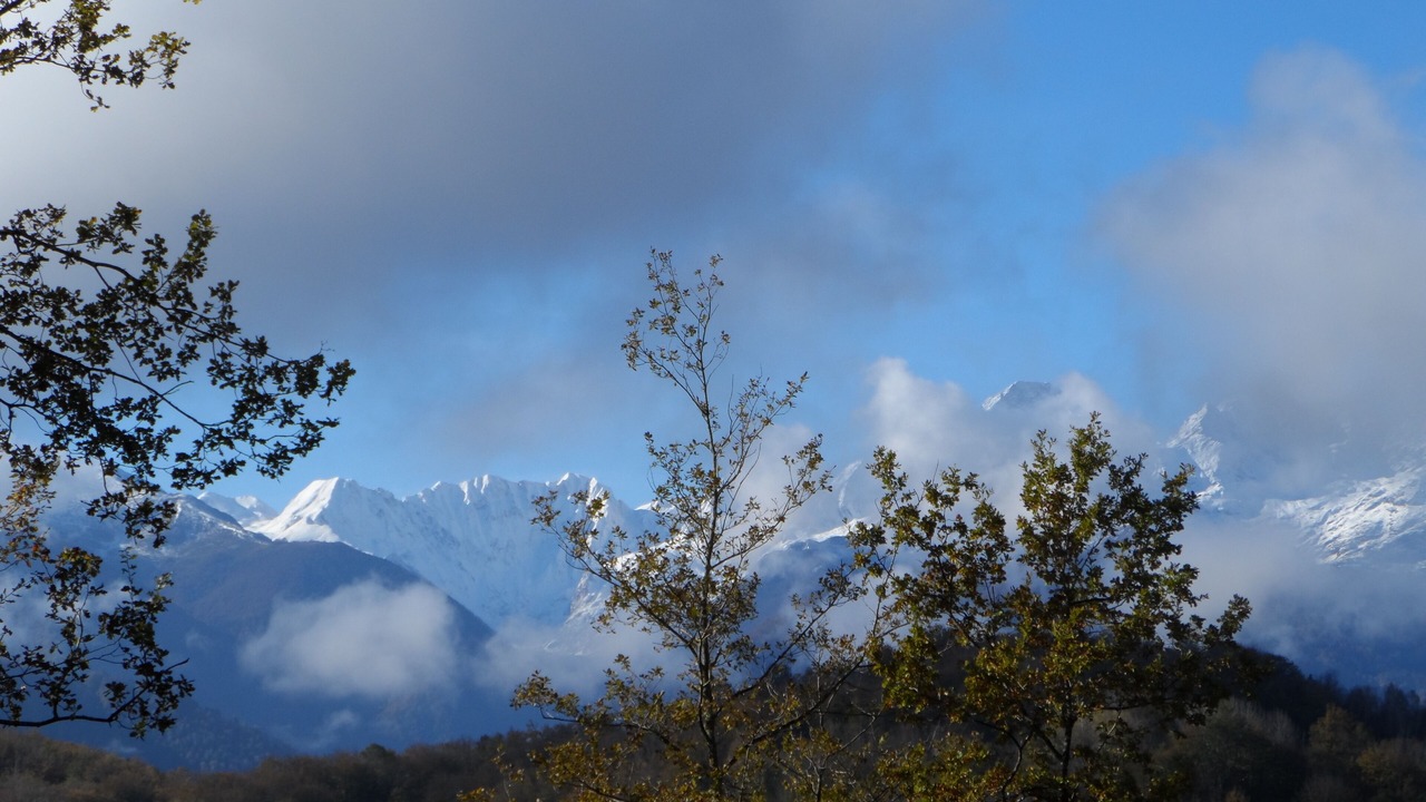 Photo of Others in Aleu