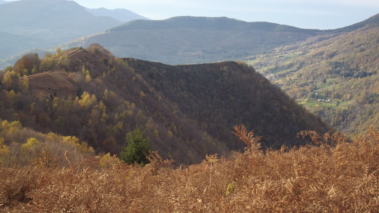 Photo of Others in Aleu