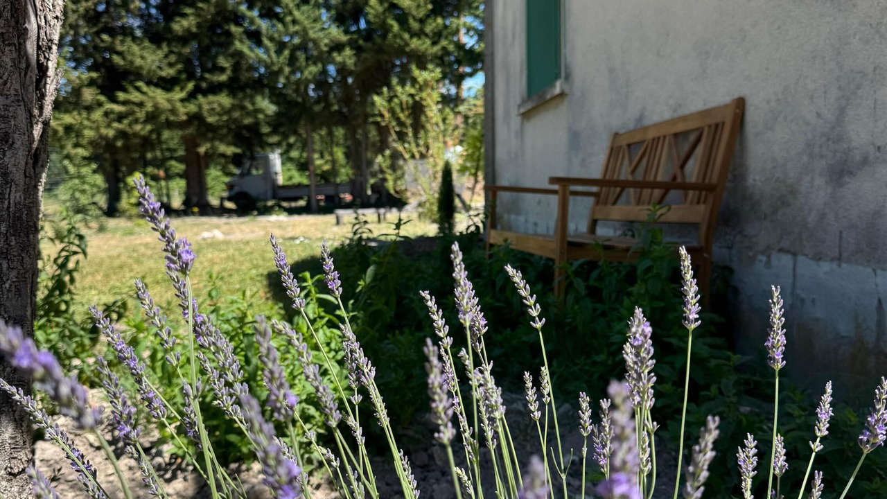 Photo of Outdoor in Paluds de Noves