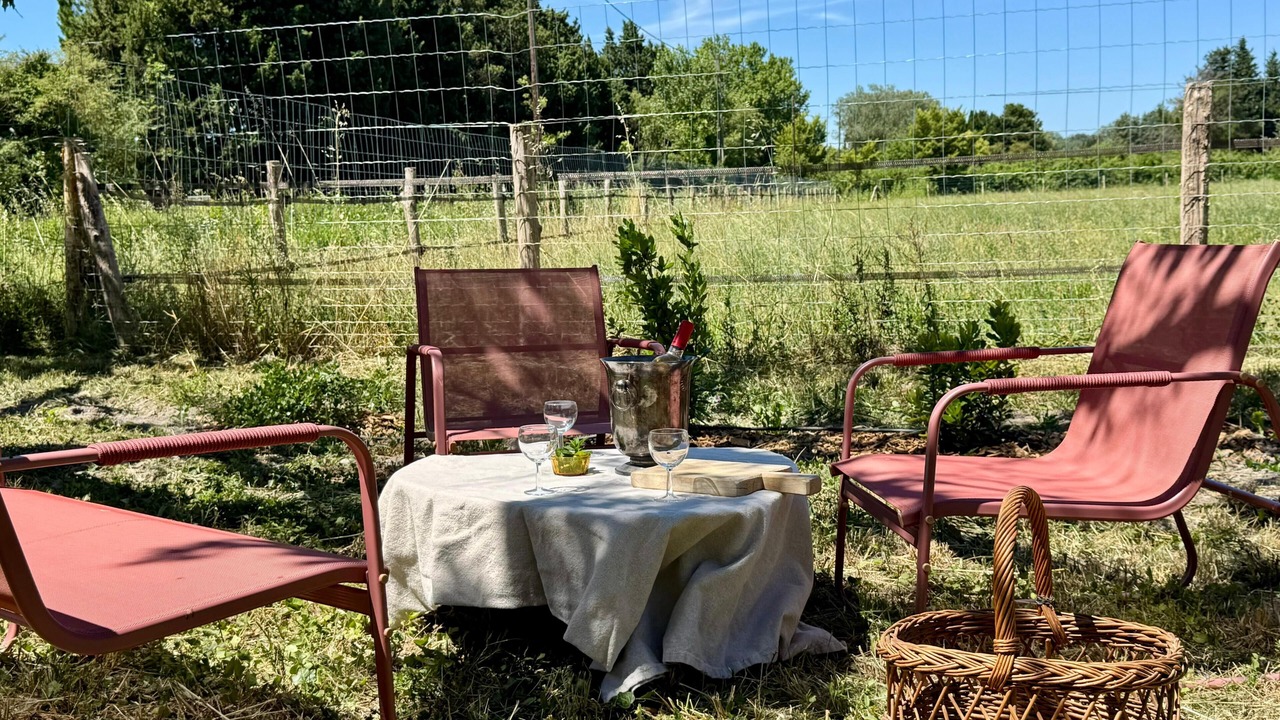 Photo of Outdoor in Paluds de Noves