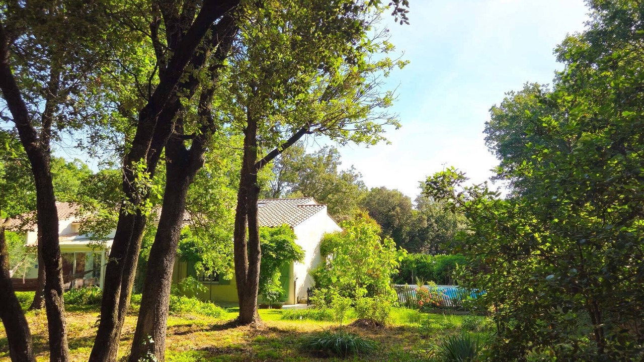 Photo of Outdoor in Saussines