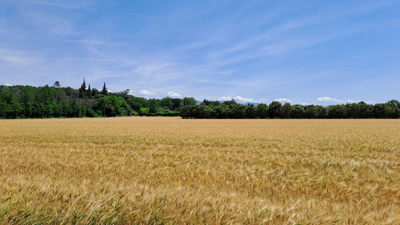 Photo of Others in Richerenches