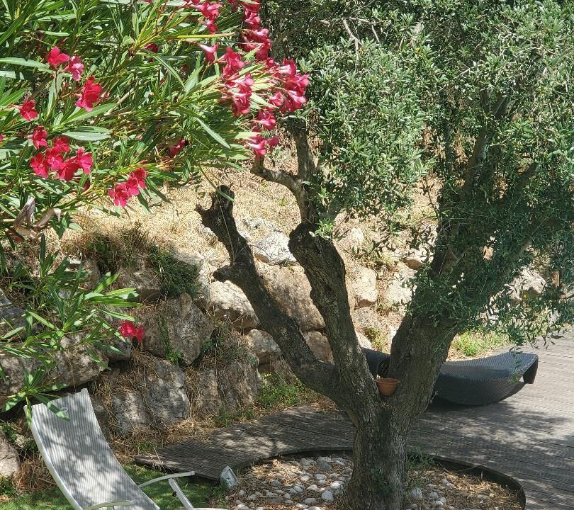 Photo of Outdoor in Dio-et-Valquieres