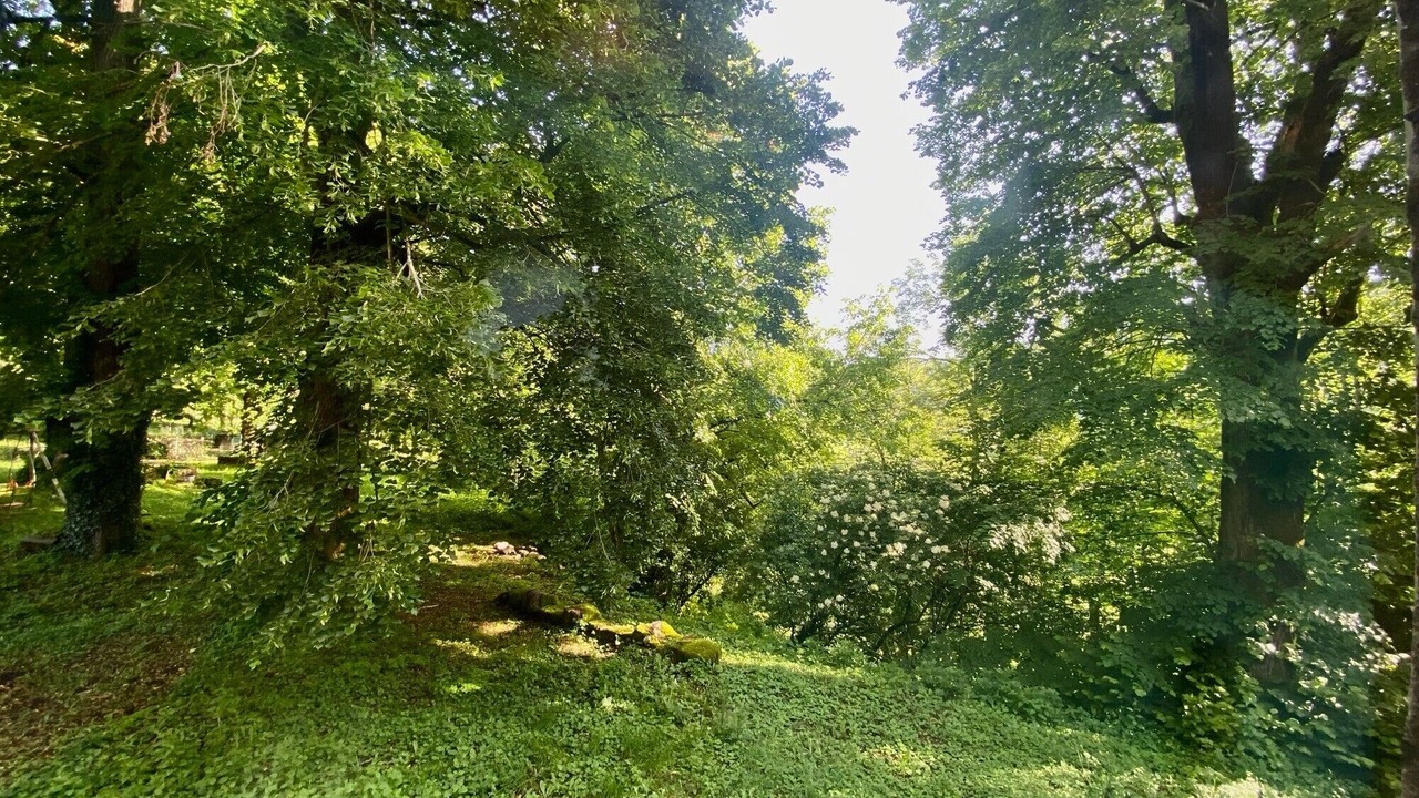 Photo of Others in Saint-Martin-sous-Vigouroux