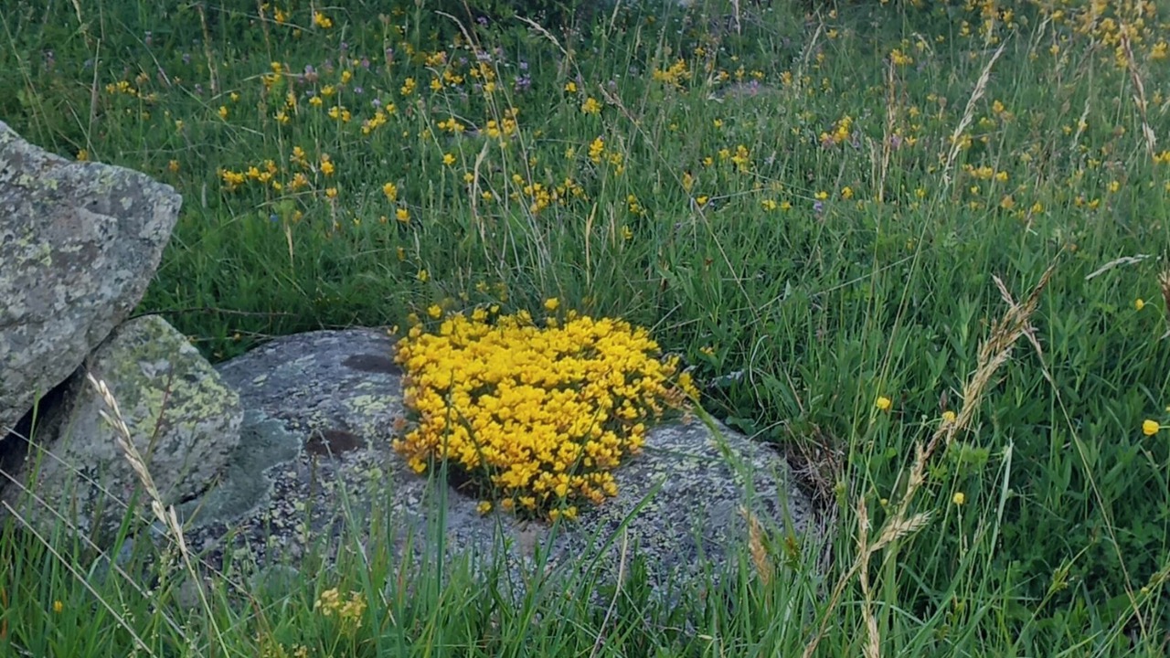 Photo of Outdoor in Angoustrine