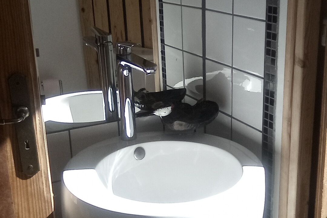 Photo of Bathroom in Angoustrine