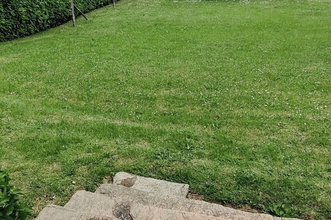 Photo of Outdoor in Saint-Priest-Ligoure