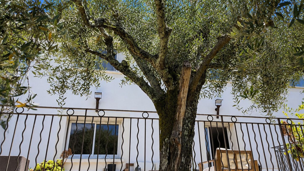Photo of Patio Balcony in L'Escarene
