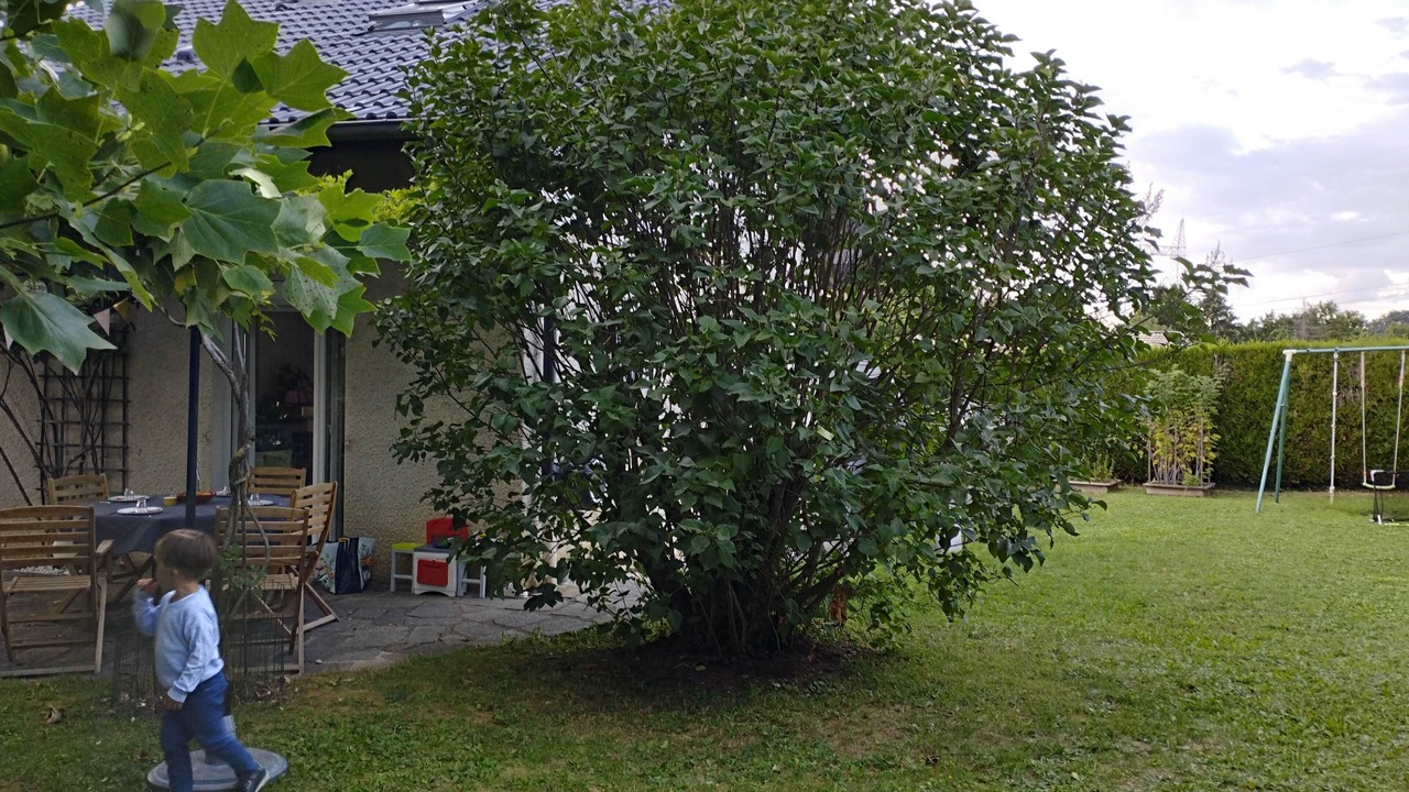Photo of Outdoor in Quintal