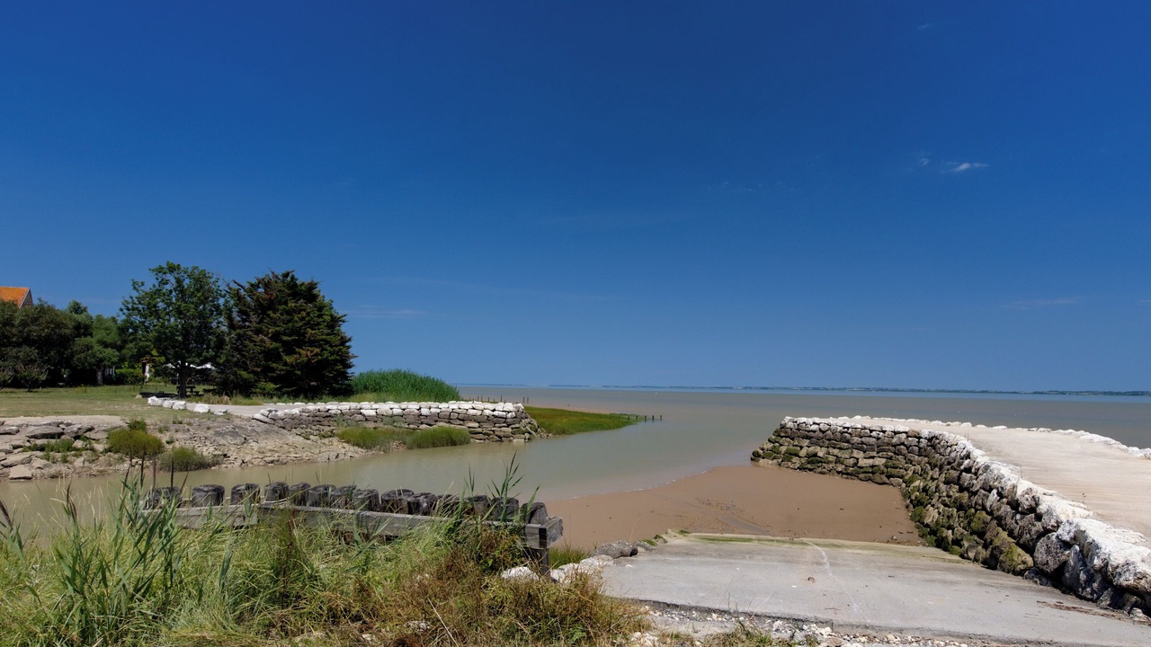 Photo of Others in Saint-Christoly-Medoc
