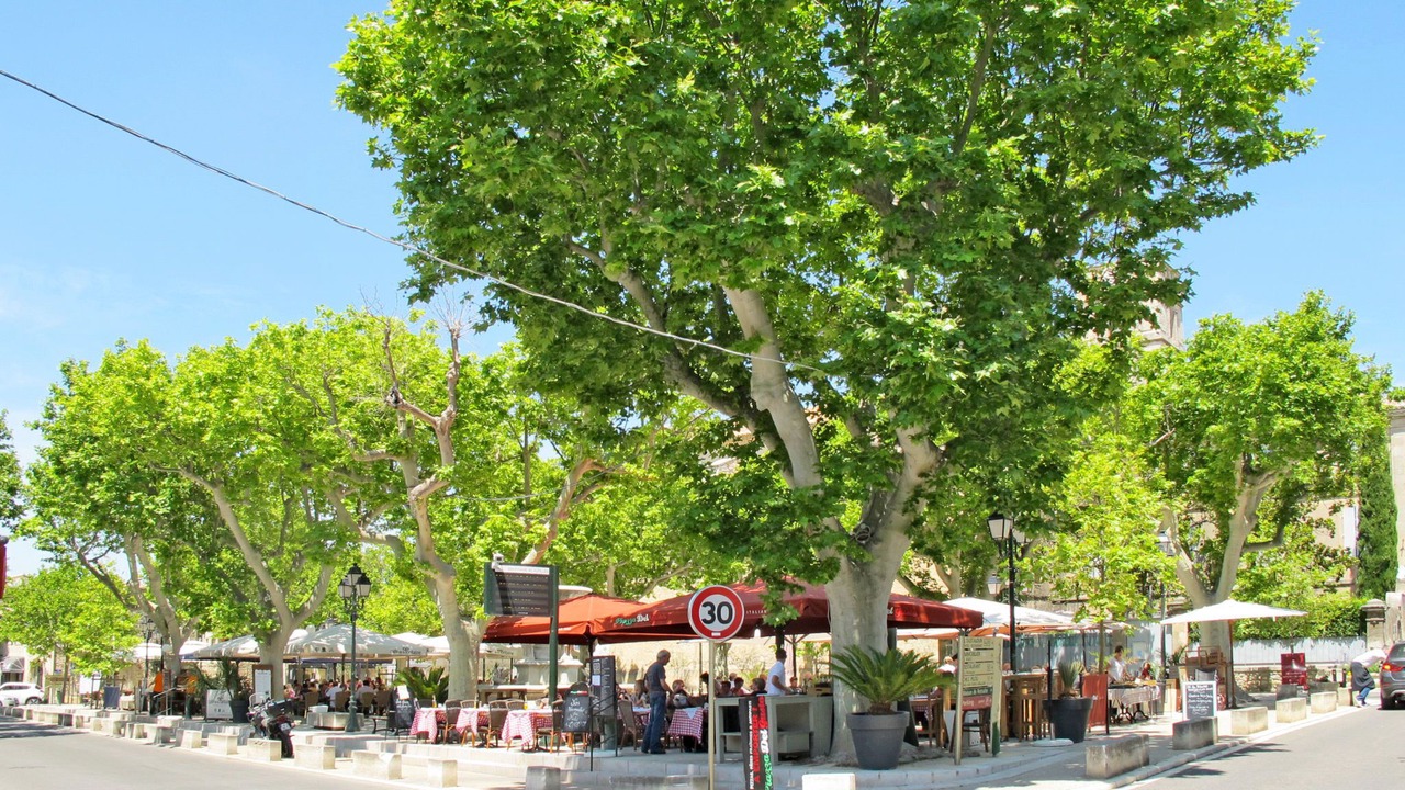 Photo of Outdoor in Paradou