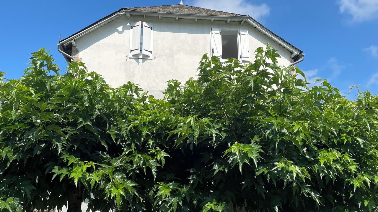 Photo of Outdoor in Monceaux-sur-Dordogne