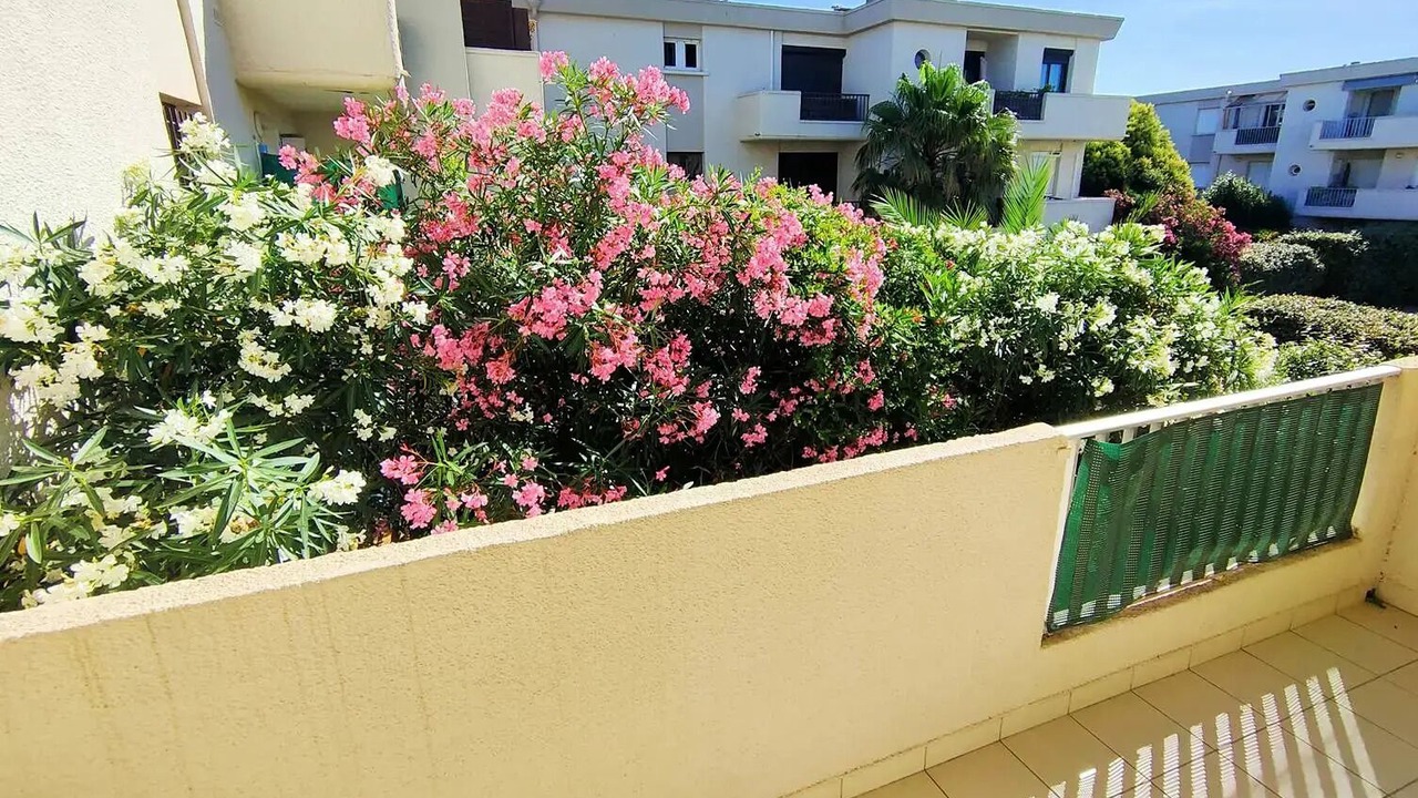 Photo of Outdoor in Les Arenes