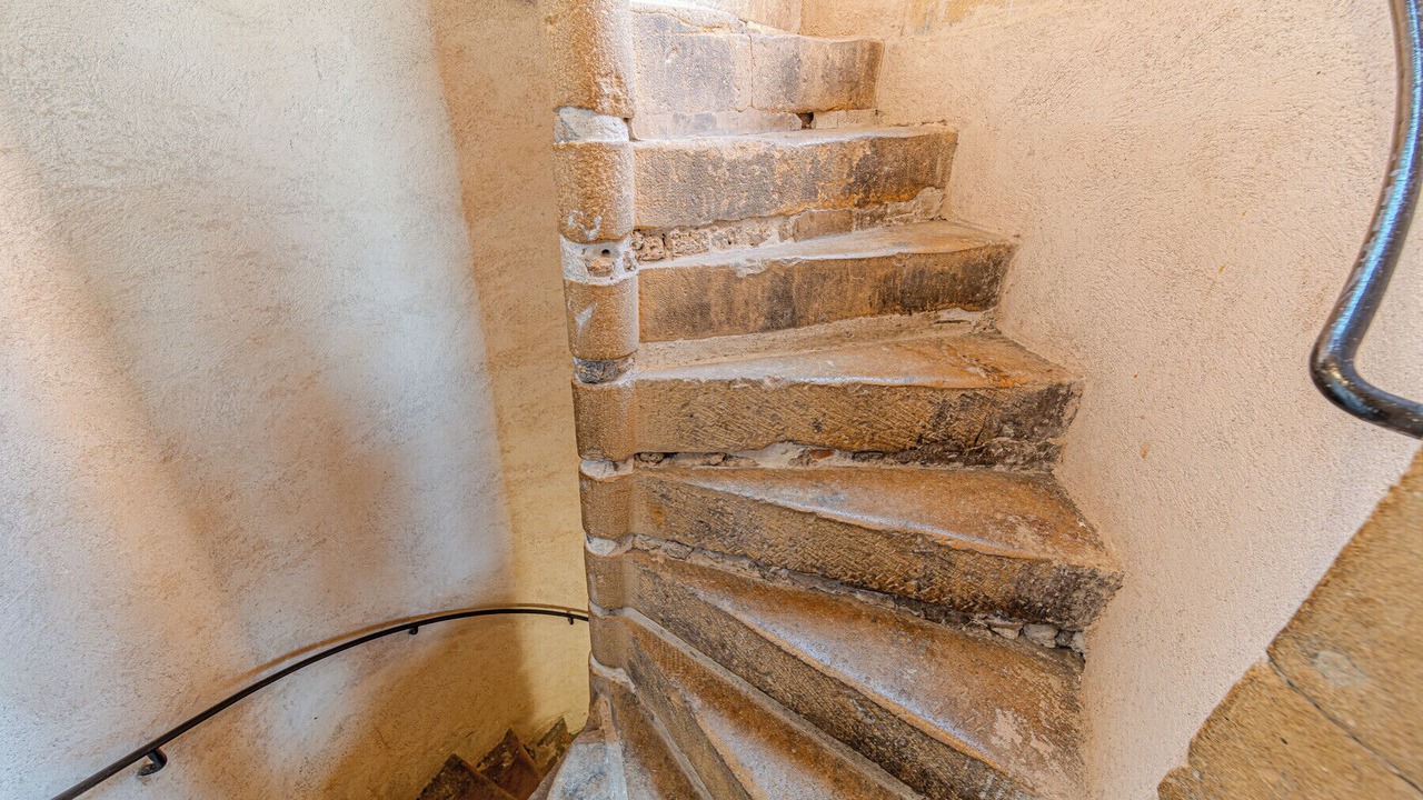 Photo of Others in Chartreux - Saint Vincent