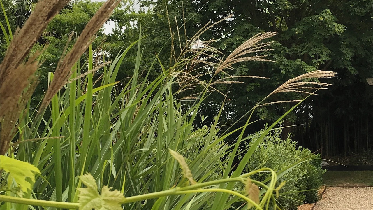 Photo of Outdoor in Saint-Martin-de-Seignanx