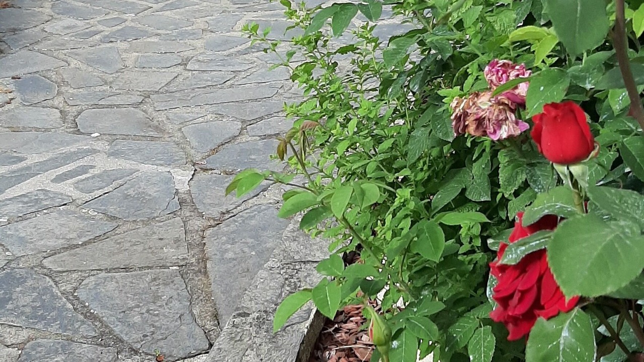 Photo of Outdoor in Aurillac