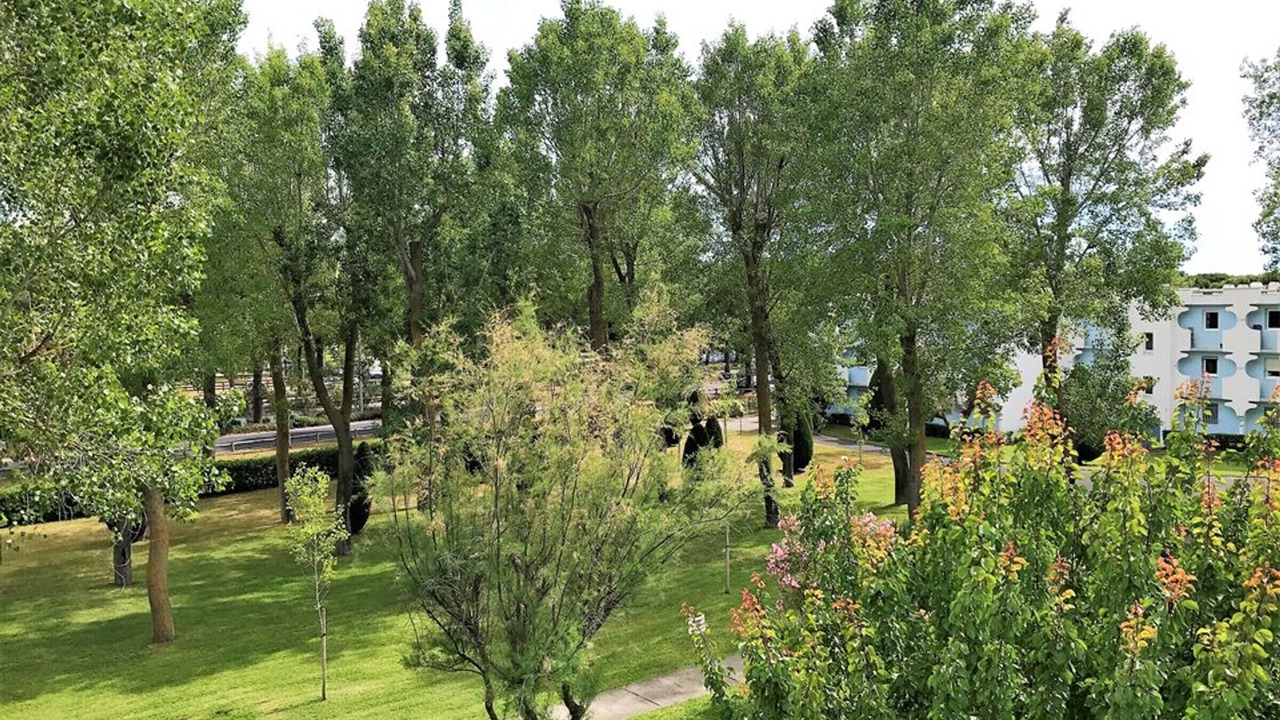 Photo of Outdoor in La Petite Motte