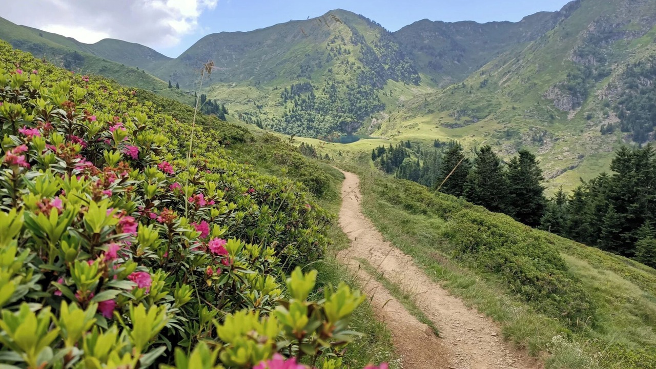 Photo of Outdoor in Borderes-Louron