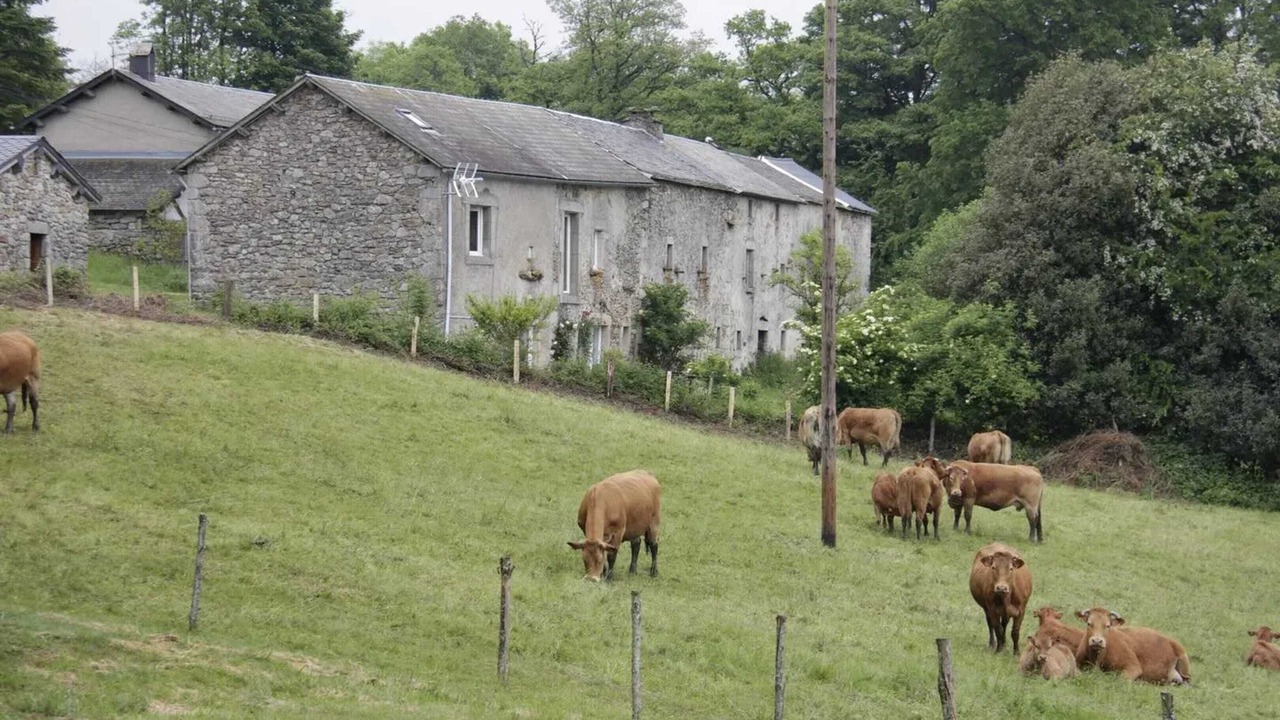 Photo of Outdoor in Le Soulie