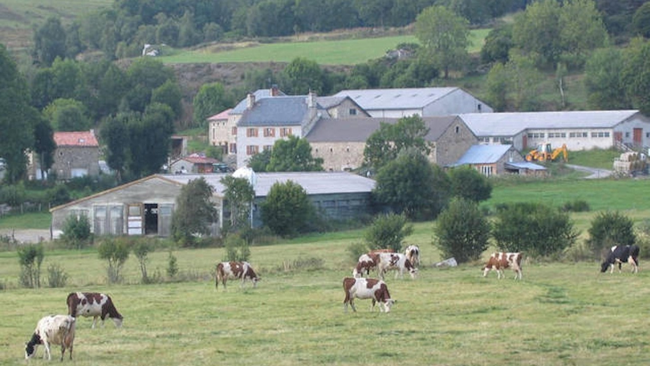 Photo of Others in Le Malzieu-Forain