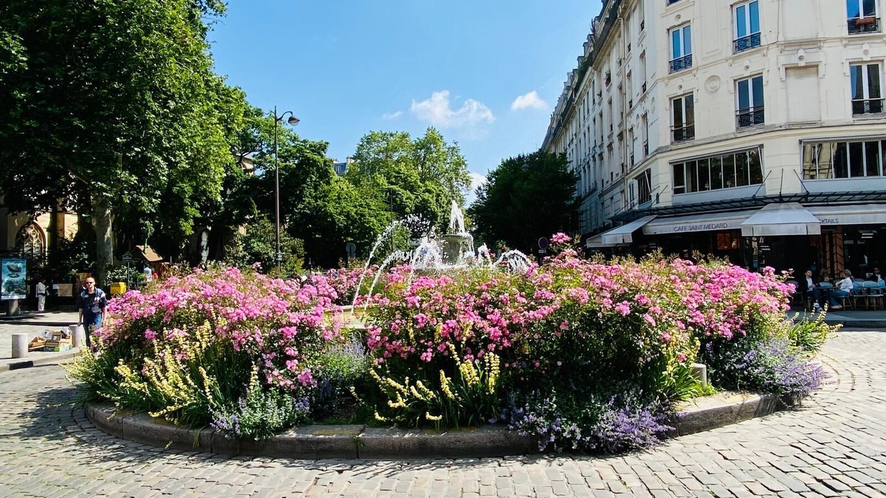 Photo of Others in Quartier de la Salpetriere