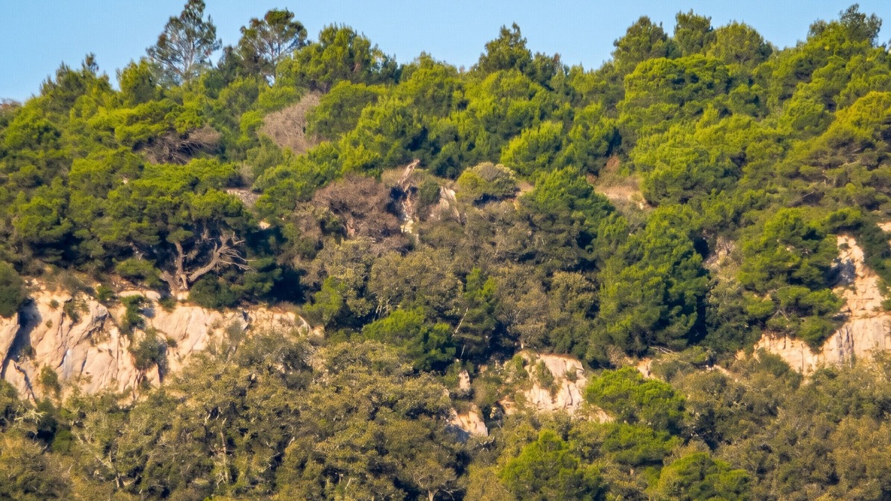 Photo of Others in Les Ayguades