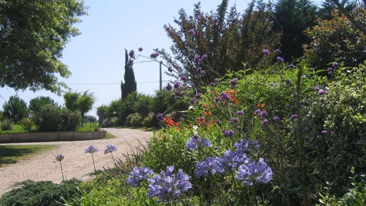 Photo of Outdoor in Saint-Andre-de-Seignanx