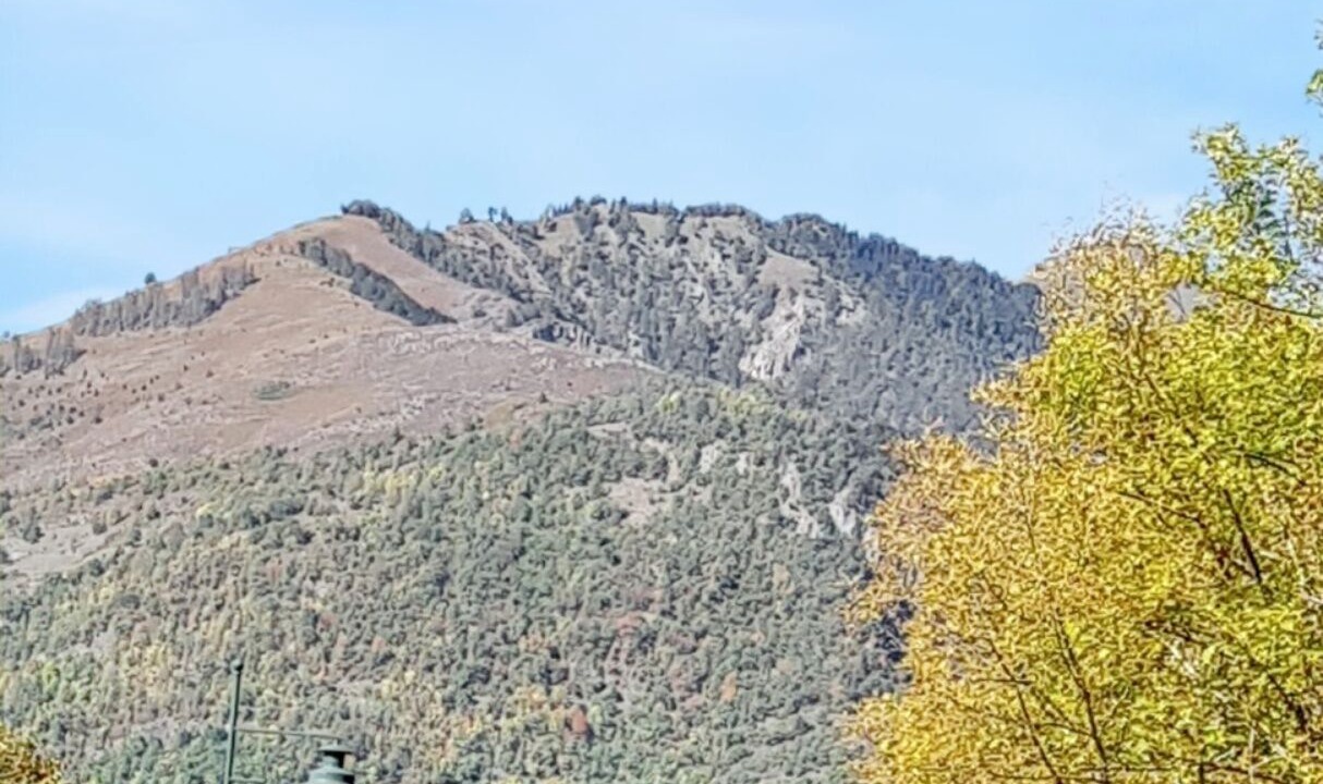 Photo of Others in Bagneres-de-Luchon