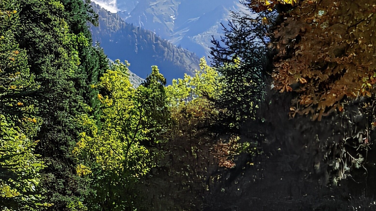 Photo of Others in Bagneres-de-Luchon