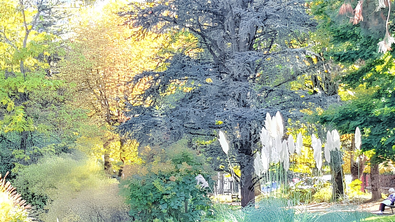 Photo of Others in Bagneres-de-Luchon