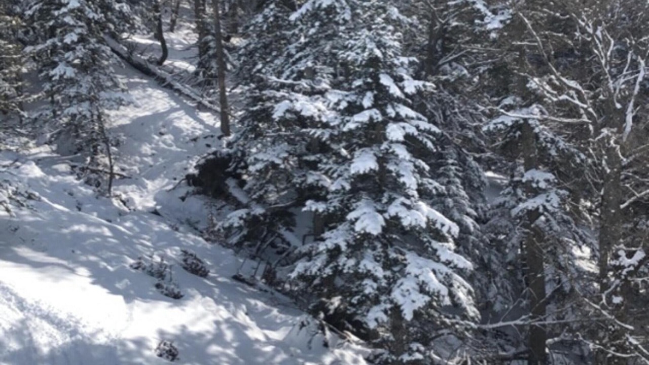 Photo of Others in Bagneres-de-Luchon
