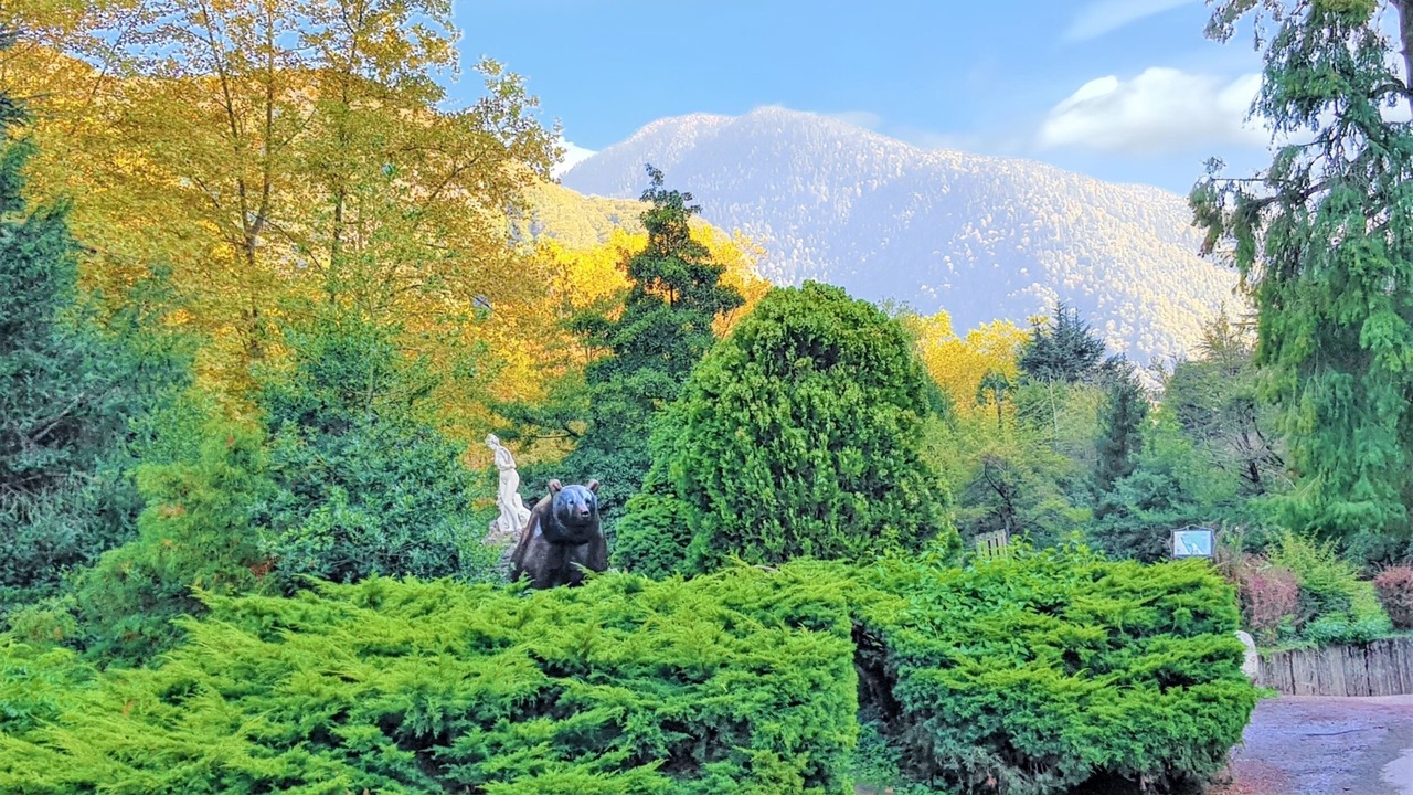 Photo of Others in Bagneres-de-Luchon