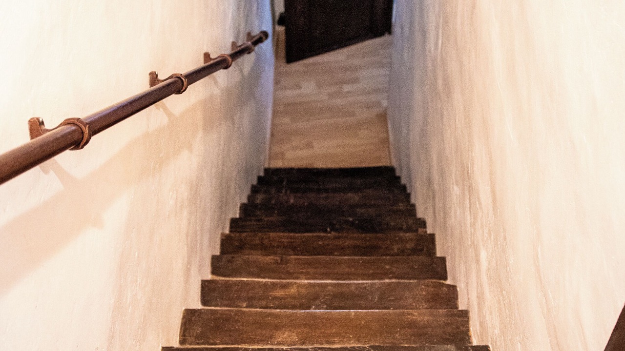 Photo of Others in La Tour-Sur-Orb